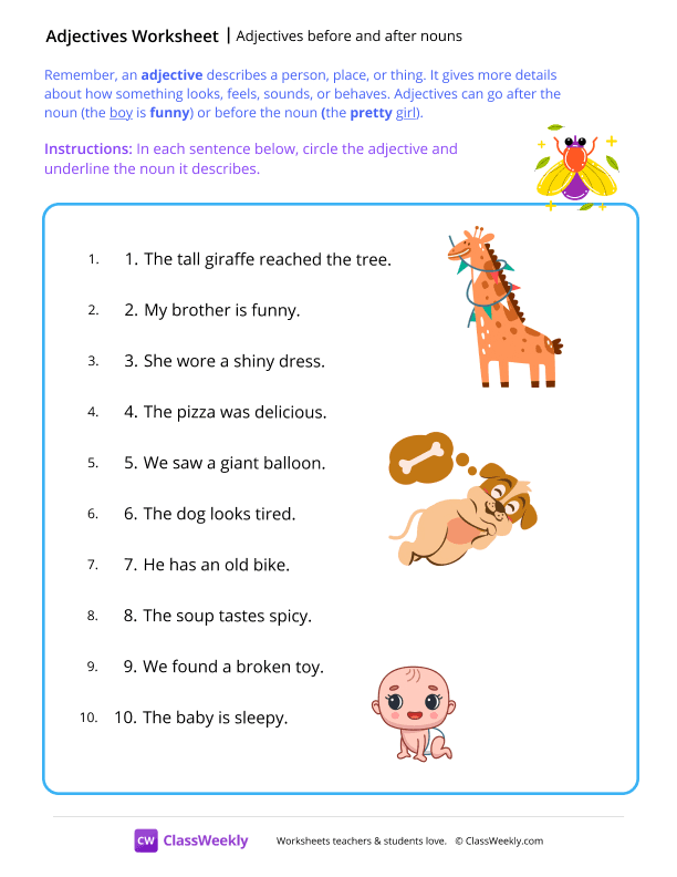 Adjectives before and after nouns - Fly worksheet preview