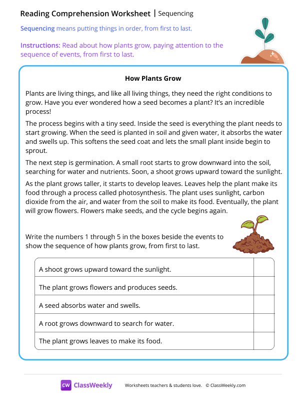 Sequencing - How Plants Grow worksheet preview