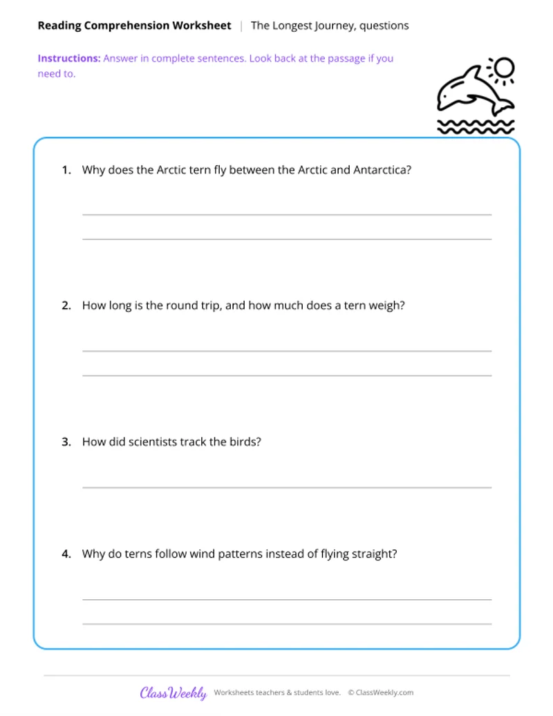 Reading Comprehension