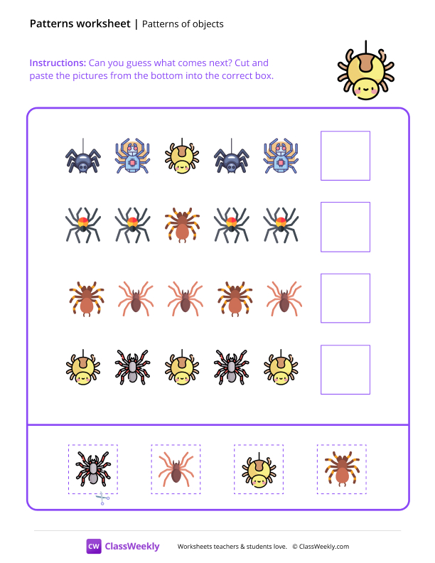 Spider